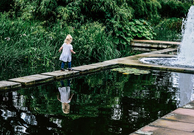 Piante Ideali intorno alla Tua Casetta da Giardino