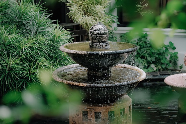 Piante Ideali intorno alla Tua Casetta da Giardino